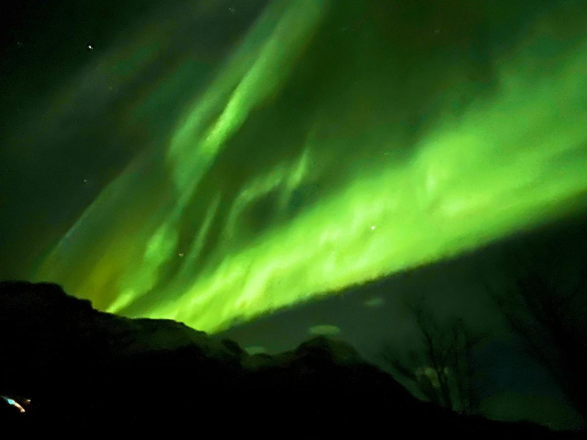 Lofoten Glampingdome Myrland Eksteriør billede