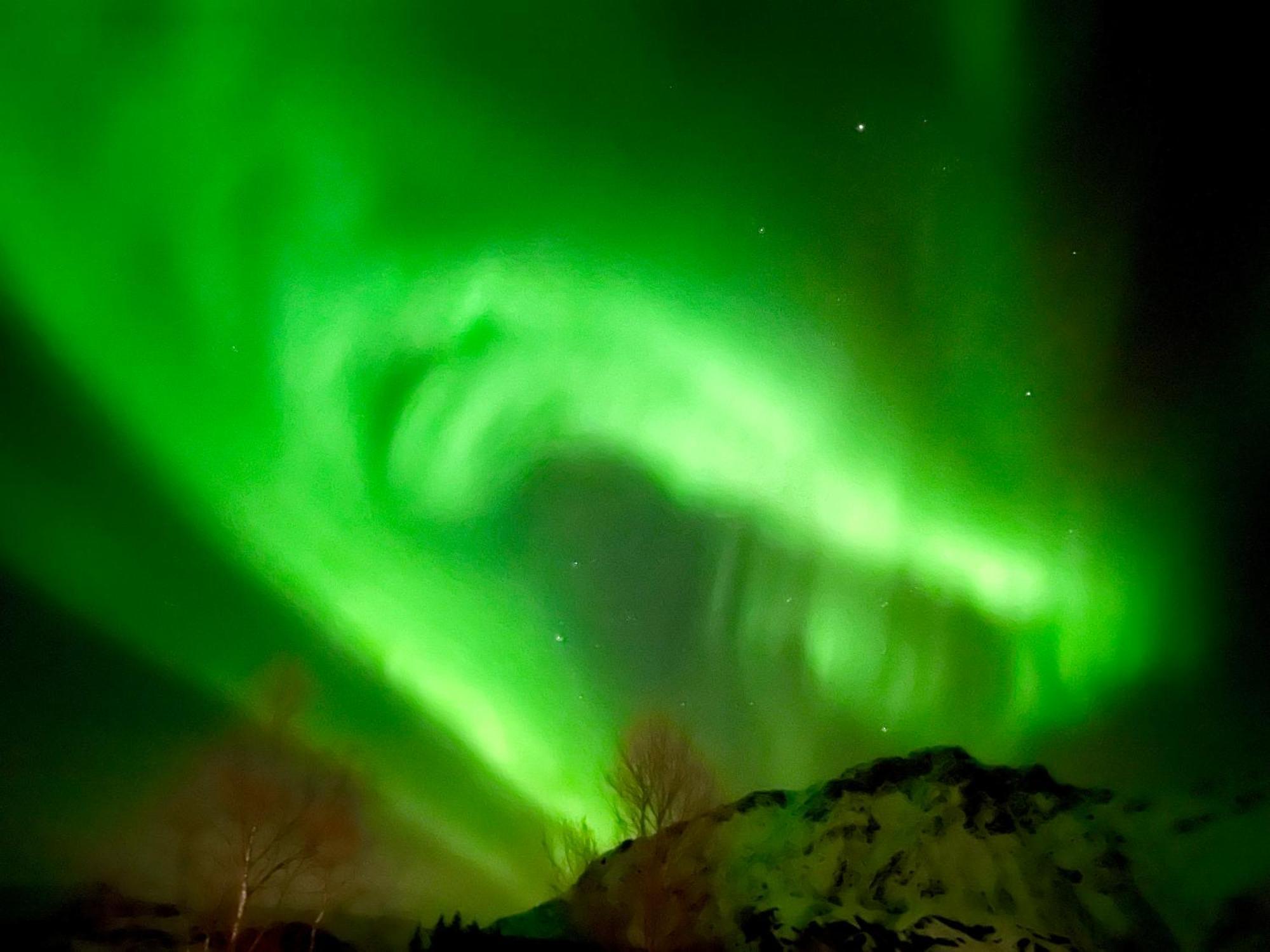 Lofoten Glampingdome Myrland Eksteriør billede