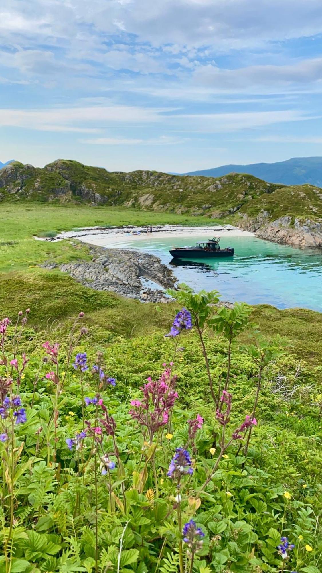 Lofoten Glampingdome Myrland Eksteriør billede